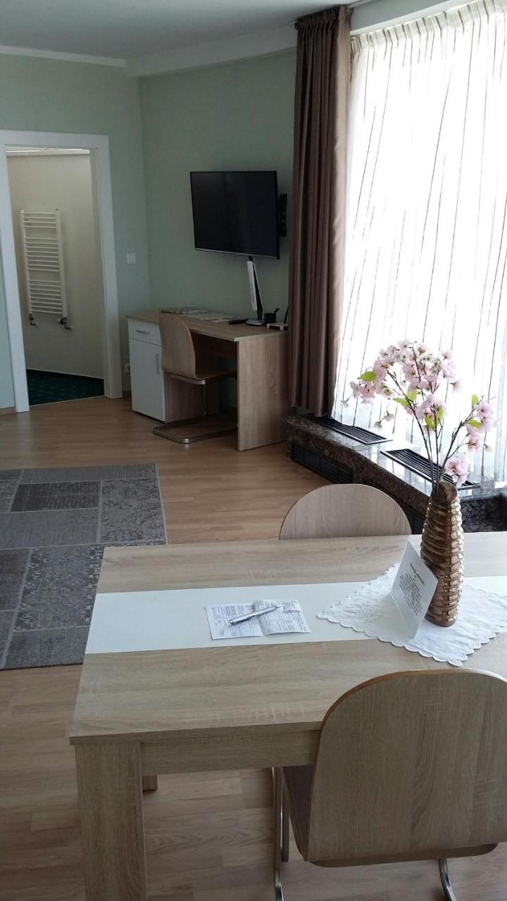 Apartment Penthouses Vinice